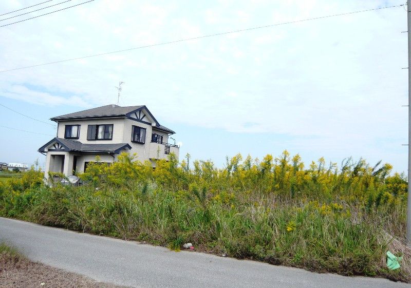 Land for Sale Near Hon-suka Beach in Sanmu, Chiba - Thumbnail 3