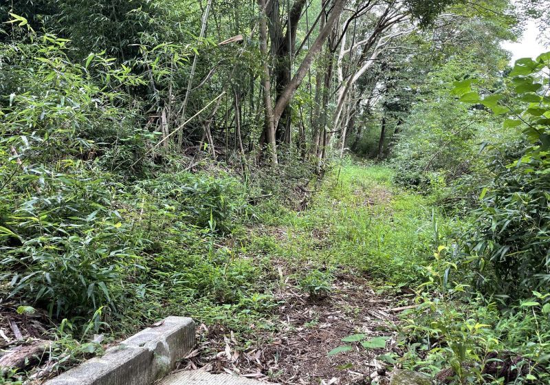 Expansive 7,735 sqm Forest Land for Sale in Kimitsu, Chiba - Thumbnail 2