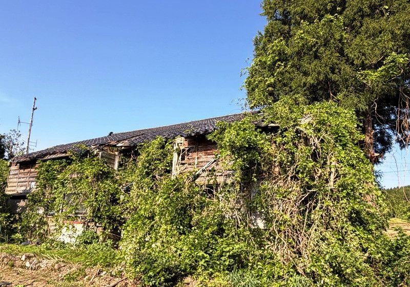 Vacant House with Land in Kashiwazaki, Niigata – 396 sqm Lot - Thumbnail 2