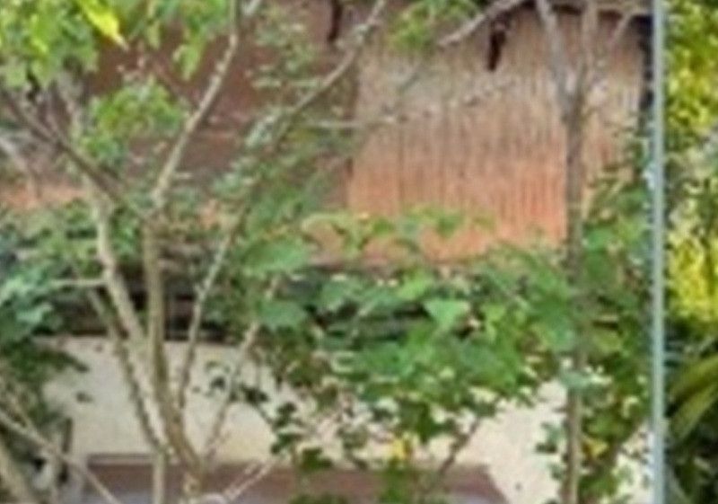 7DK House for Sale in Kashiwara, Osaka – 277m² Land - Thumbnail 2