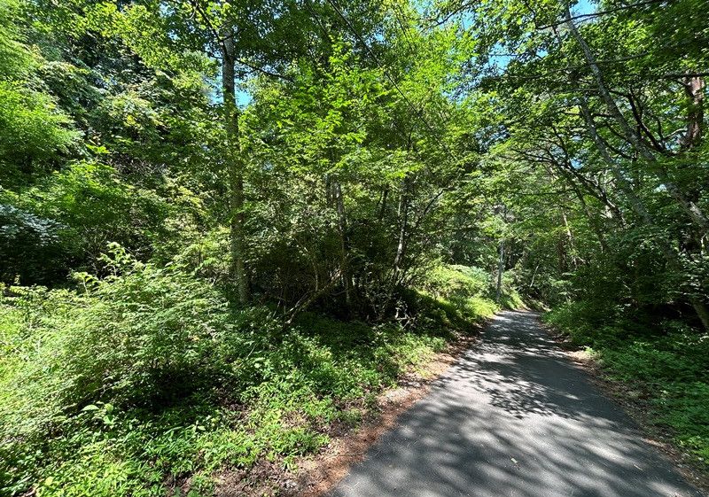 Land for Sale in Fuji Cherry Highland Resort, Narusawa Village, Yamanashi - Thumbnail 2