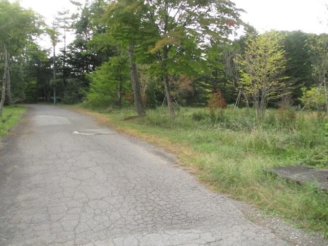Land for Sale in Karuizawa, Nagano - 1,824 sqm - Thumbnail 2