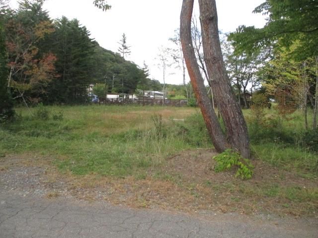 Land for Sale in Karuizawa, Nagano - 1,824 sqm - Thumbnail 4