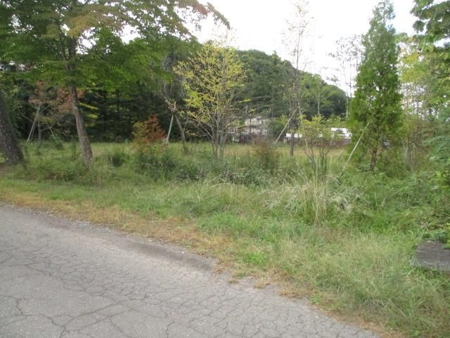 Land for Sale in Karuizawa, Nagano - 1,824 sqm - Thumbnail 3