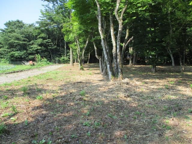 Land for Sale in Karuizawa, Nagano – 1,937 sqm - Thumbnail 4