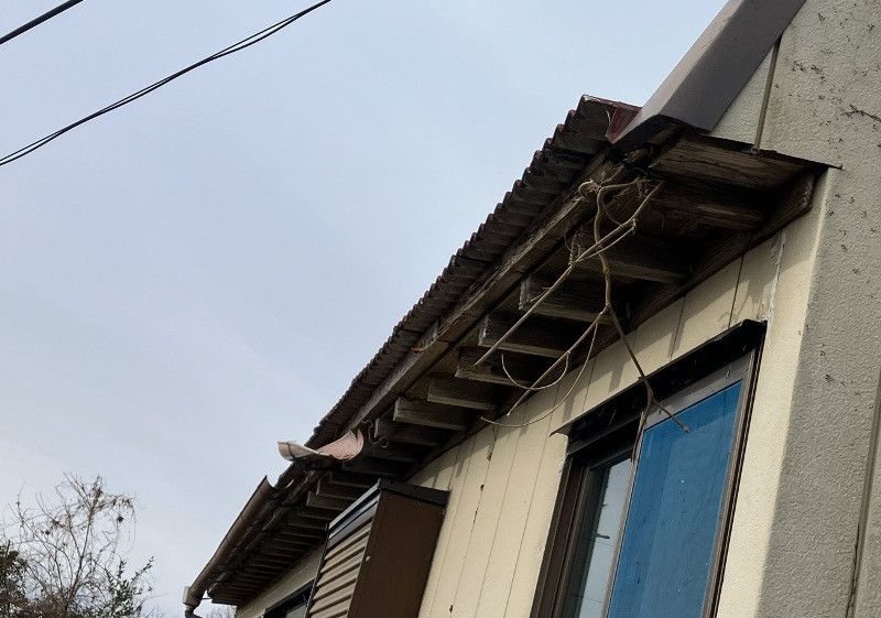 Villa with Panoramic Views and Well at 400m Elevation in Kochi - Thumbnail 2