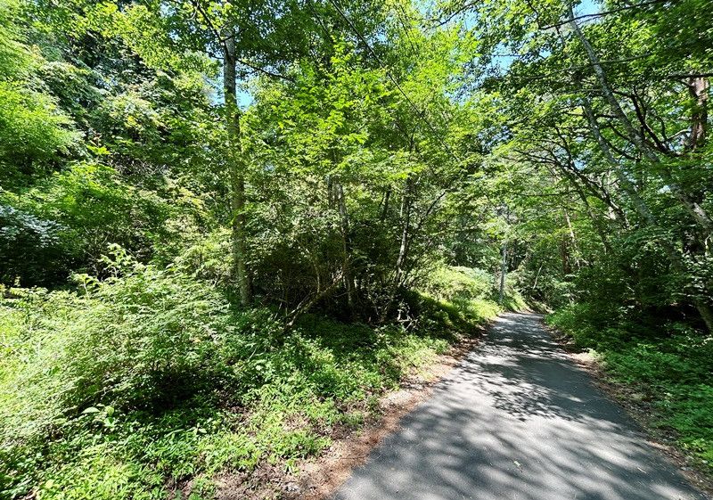 466 sqm Vacant Land in Narusawa Village, Yamanashi - Thumbnail 2