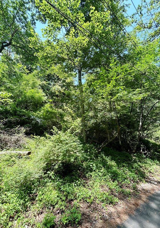 466 sqm Vacant Land in Narusawa Village, Yamanashi - Thumbnail 4