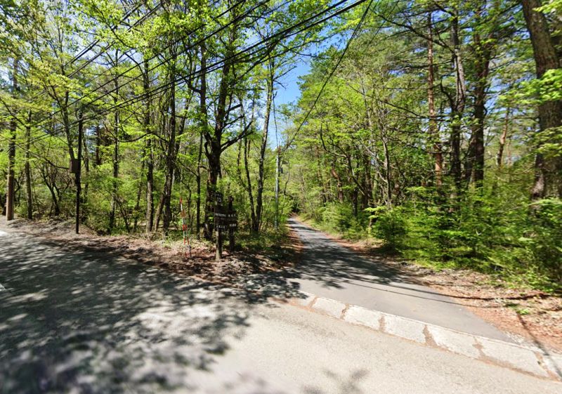 466 sqm Vacant Land in Narusawa Village, Yamanashi - Thumbnail 3