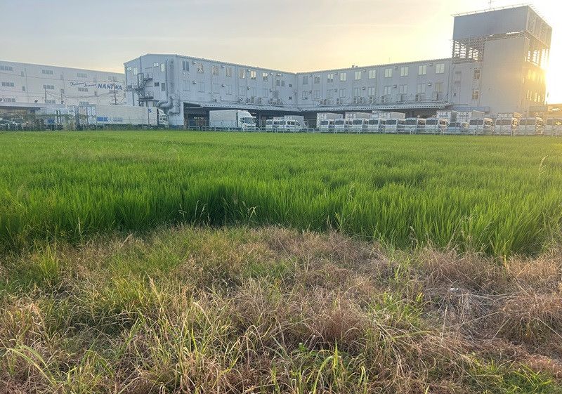 450 Tsubo Rice Paddy Land for Sale in Hashima City, Gifu - Thumbnail 3