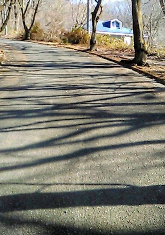 Forest Land for Sale in Nasu, Tochigi - 600 sqm Vacation Lot - Image 1