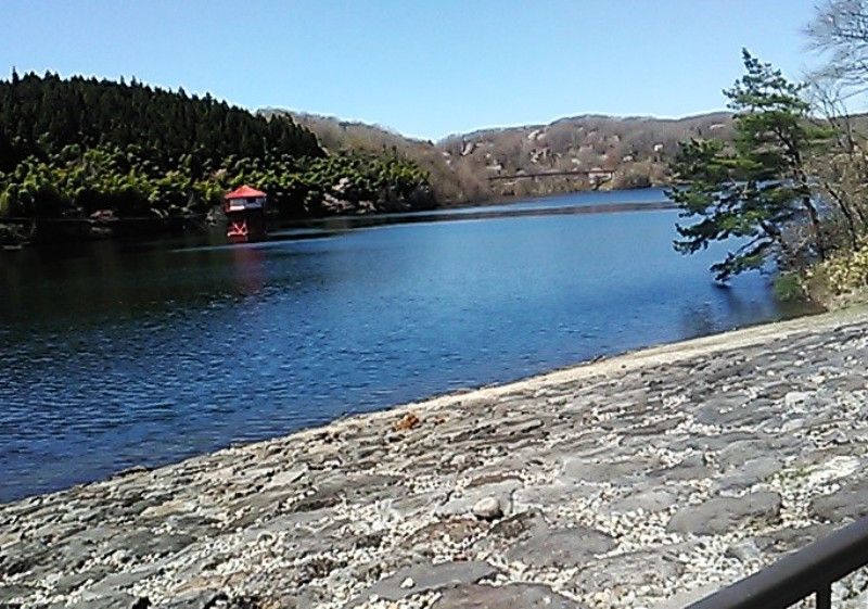 Forest Land for Sale in Nasu, Tochigi - 600 sqm Vacation Lot - Thumbnail 3