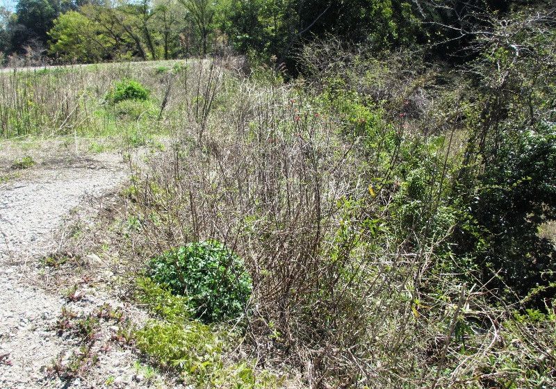 Land for Sale or Rent in Hidaka City, Saitama, 255 sqm - Thumbnail 4