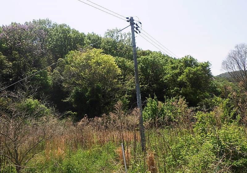 Land Parcels for Sale on Shodoshima Island, Kagawa - Thumbnail 2