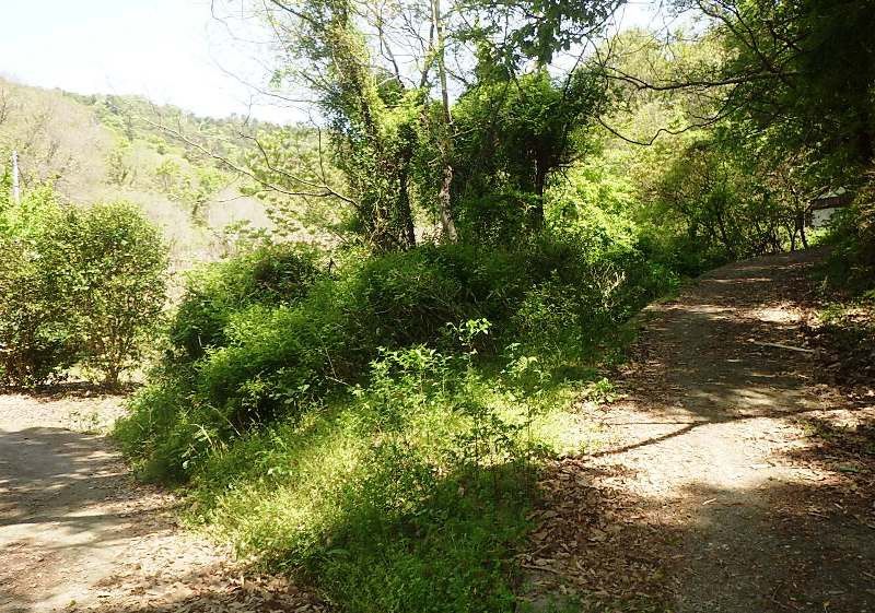 Land Parcels for Sale on Shodoshima Island, Kagawa - Thumbnail 4