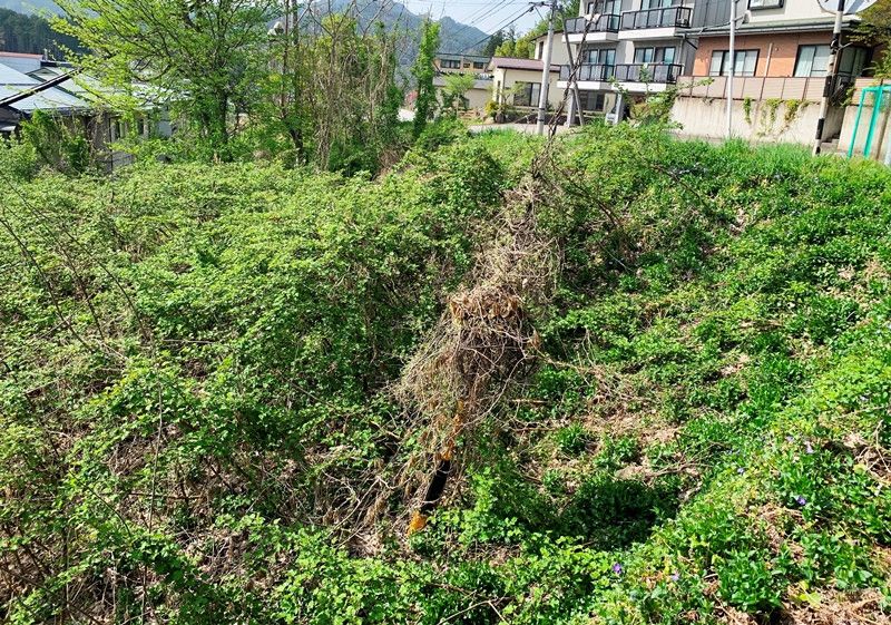 Sunny Sloped Forest Land for Sale in Takayama, Gifu - Thumbnail 3