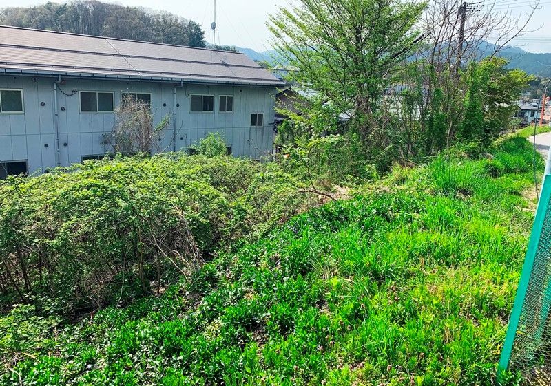 Sunny Sloped Forest Land for Sale in Takayama, Gifu - Thumbnail 2