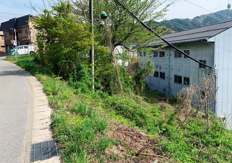 Sunny Sloped Forest Land for Sale in Takayama, Gifu - Thumbnail 4