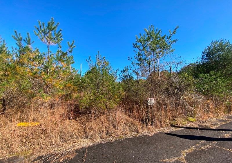 89 sqm Forest Land for Sale in Iga City, Mie - Thumbnail 4