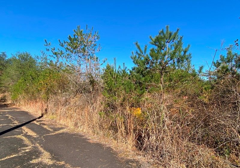 89 sqm Forest Land for Sale in Iga City, Mie - Thumbnail 2