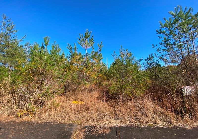 89 sqm Forest Land for Sale in Iga City, Mie - Thumbnail 3