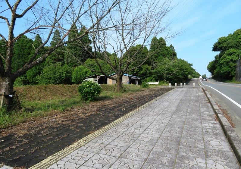 600 Tsubo Farmland for Sale in Hioki, Kagoshima - Thumbnail 3