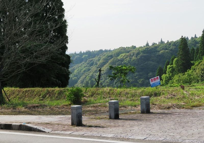 600 Tsubo Farmland for Sale in Hioki, Kagoshima - Thumbnail 2