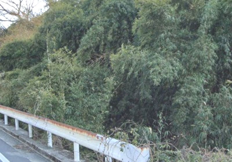 533 sqm Land for Sale in Tagami, Kagoshima City - Main Image
