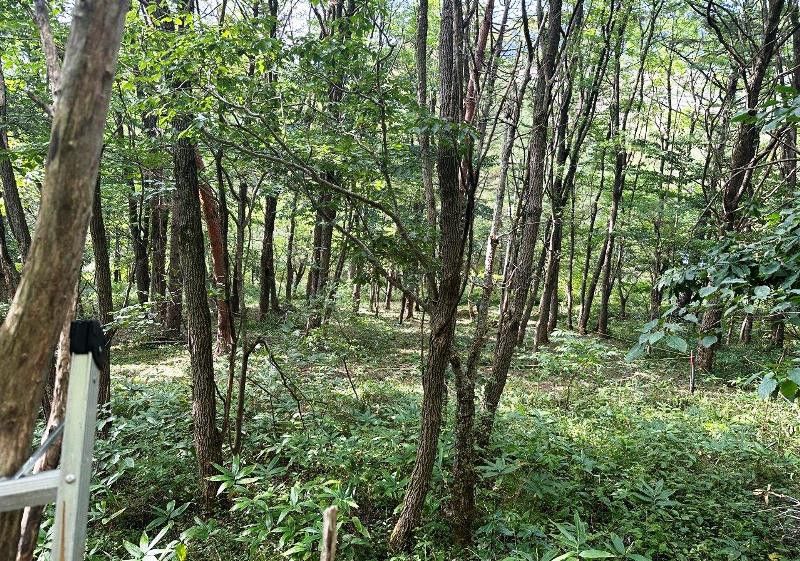 595 sqm Land for Sale in Inawashiro, Fukushima - Thumbnail 2