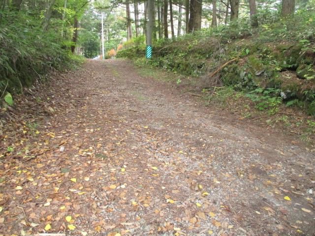 Land for Sale in Karuizawa - 760 sqm - Thumbnail 3