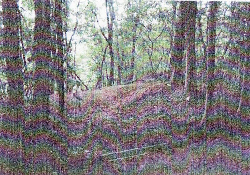 880 sqm Vacant Land Near Kusatsu Onsen in Gunma - Thumbnail 2
