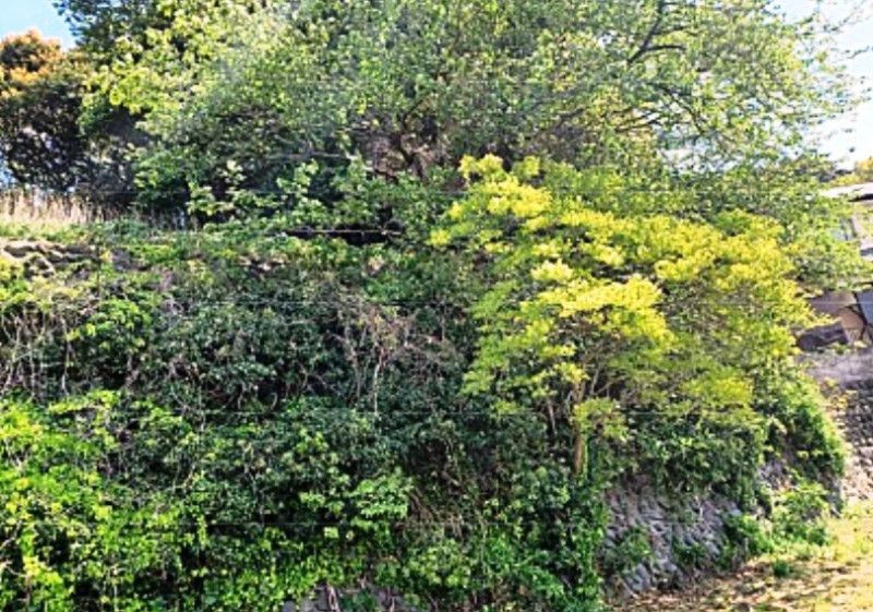 242 sqm Vacant Land for Sale in Yahatahigashi-ku, Kitakyushu - Thumbnail 4