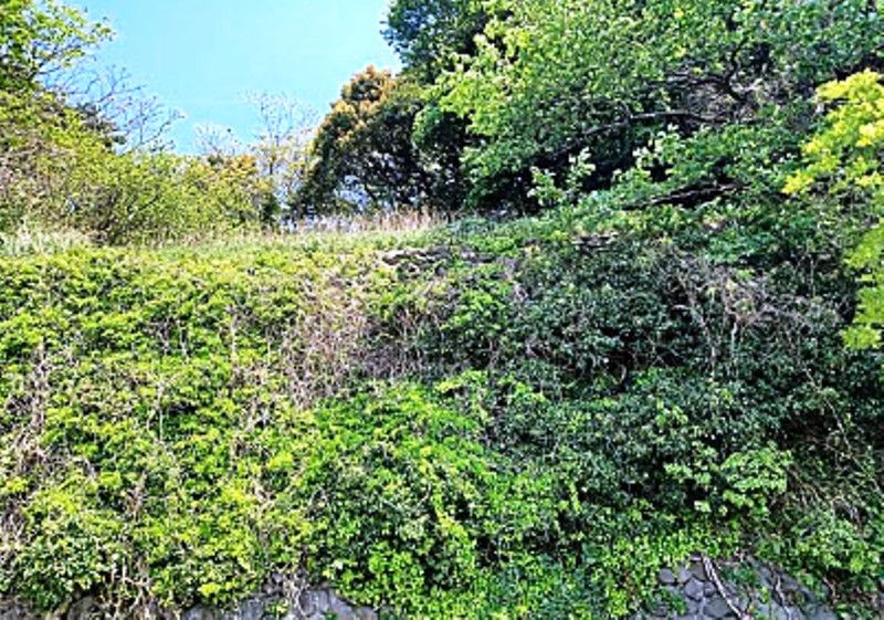 242 sqm Vacant Land for Sale in Yahatahigashi-ku, Kitakyushu - Thumbnail 3