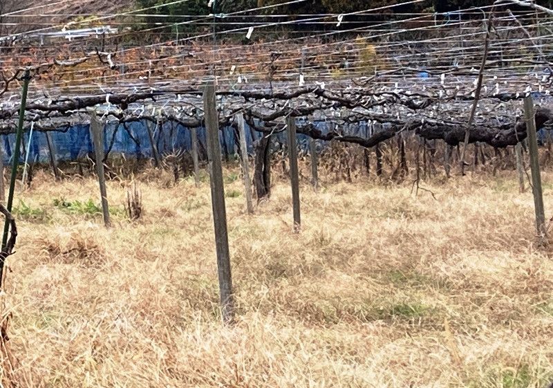 Traditional 8DK Home with Farmland for Sale in Ukiha, Fukuoka - Thumbnail 4