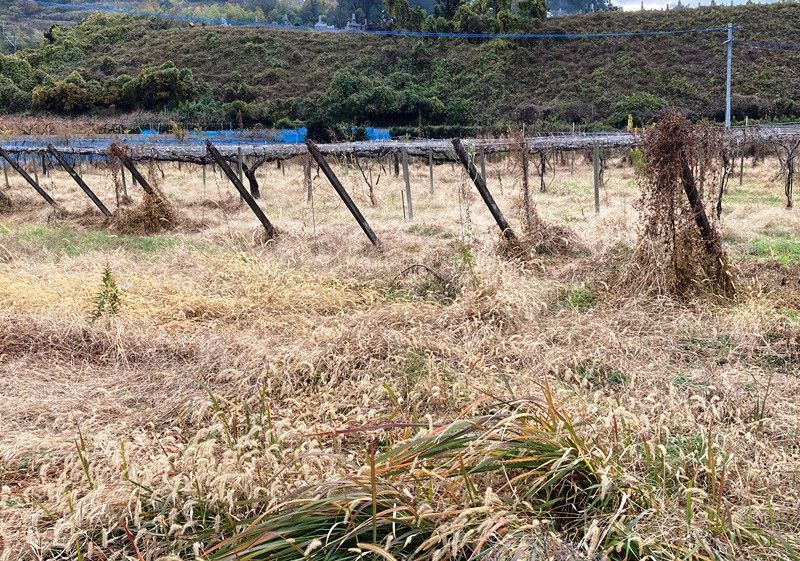 Traditional 8DK Home with Farmland for Sale in Ukiha, Fukuoka - Thumbnail 3