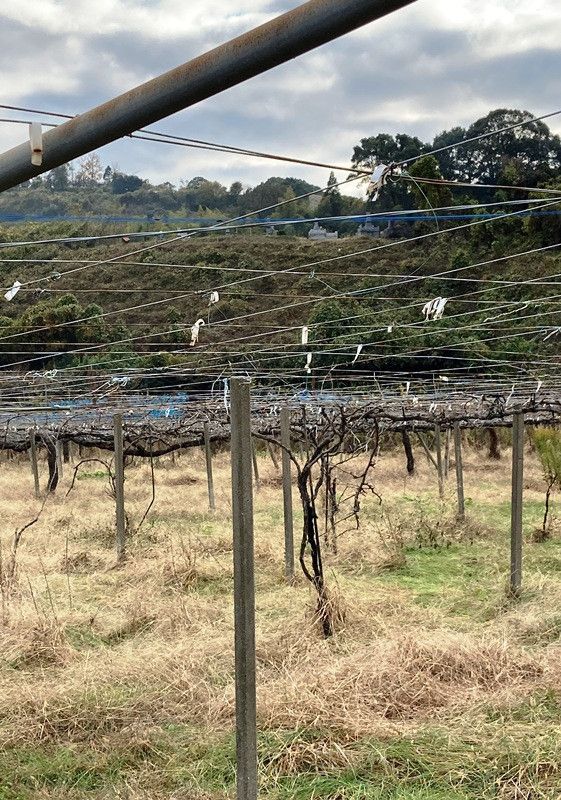 Traditional 8DK Home with Farmland for Sale in Ukiha, Fukuoka - Thumbnail 2