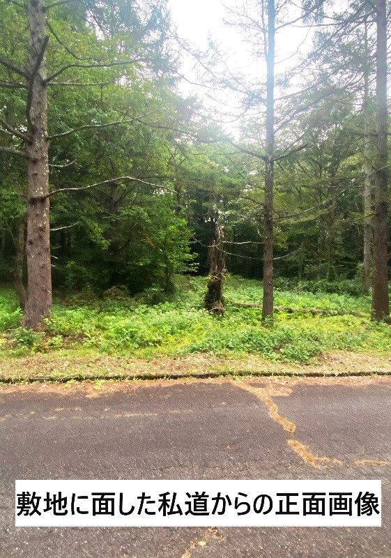 600 sqm Vacant Land in Shinano Town, Nagano Near Lake Nojiri - Thumbnail 4