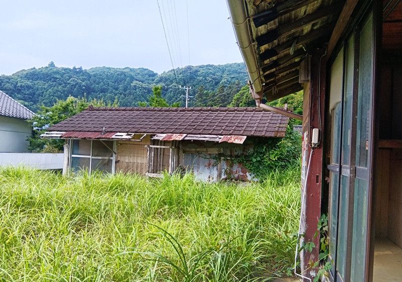 Free Kominka and Farmland in Tosashimizu, Kochi - Thumbnail 4