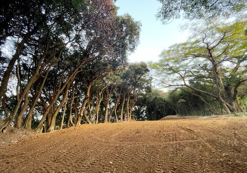924 sqm Forest Land for Sale in Itoshima, Fukuoka - Thumbnail 2
