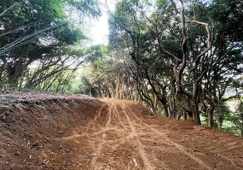 924 sqm Forest Land for Sale in Itoshima, Fukuoka - Thumbnail 3