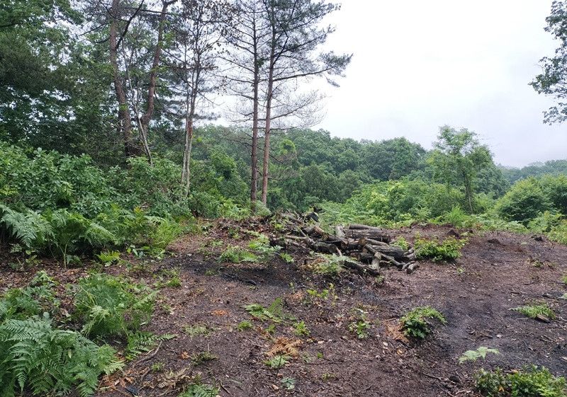 Forest Land for Sale in Anamizu, Ishikawa with Notojima Views - Thumbnail 2