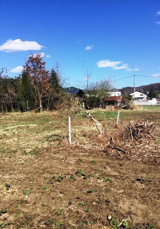 3,000 tsubo Land with Old House for Sale in Morioka, Iwate - Thumbnail 3