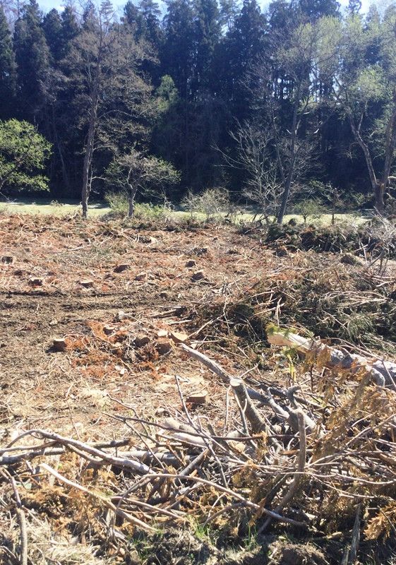 3,000 tsubo Land with Old House for Sale in Morioka, Iwate - Thumbnail 4