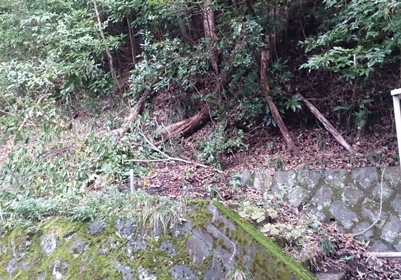 427 sqm Land for Sale in Atami, Shizuoka with Hot Spring Access - Thumbnail 3