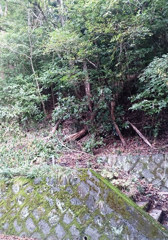427 sqm Land for Sale in Atami, Shizuoka with Hot Spring Access - Thumbnail 2
