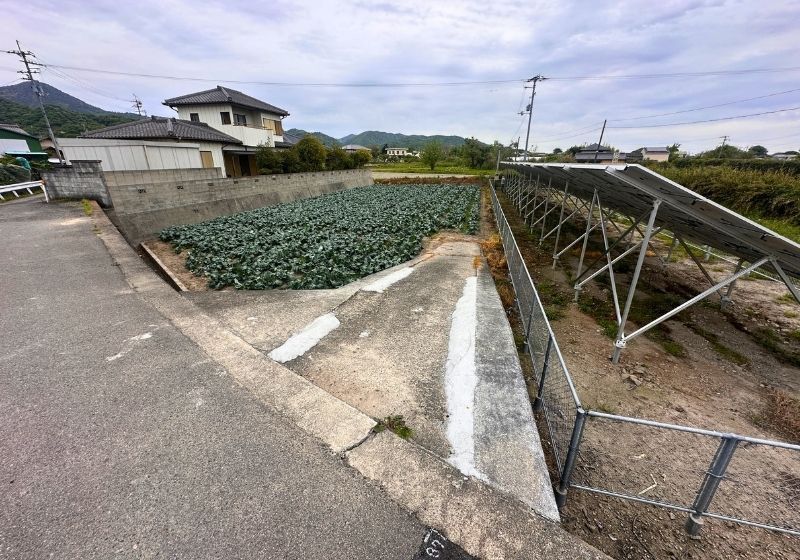 506 sqm Farmland for Sale in Naruto, Tokushima - Thumbnail 2