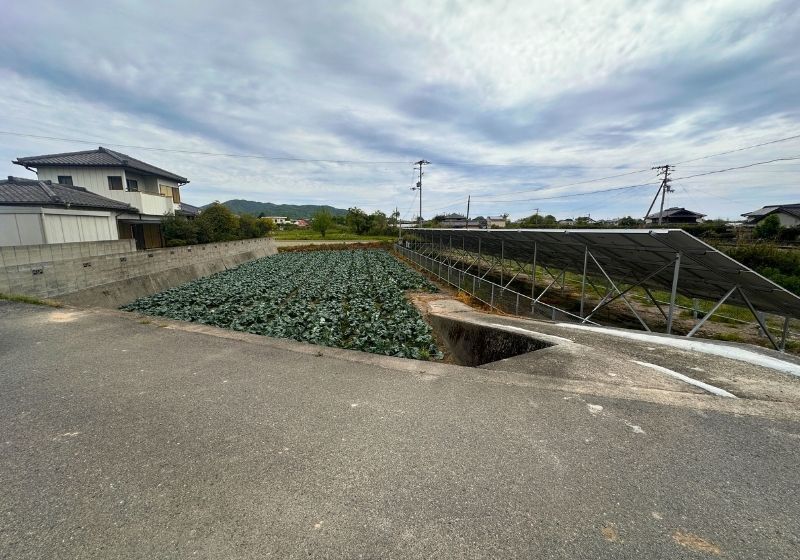 506 sqm Farmland for Sale in Naruto, Tokushima - Thumbnail 4