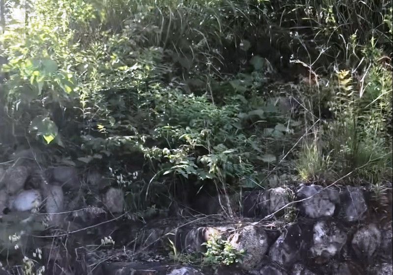 217 Tsubo Land for Sale Near Ise Jingu in Mie - Thumbnail 2