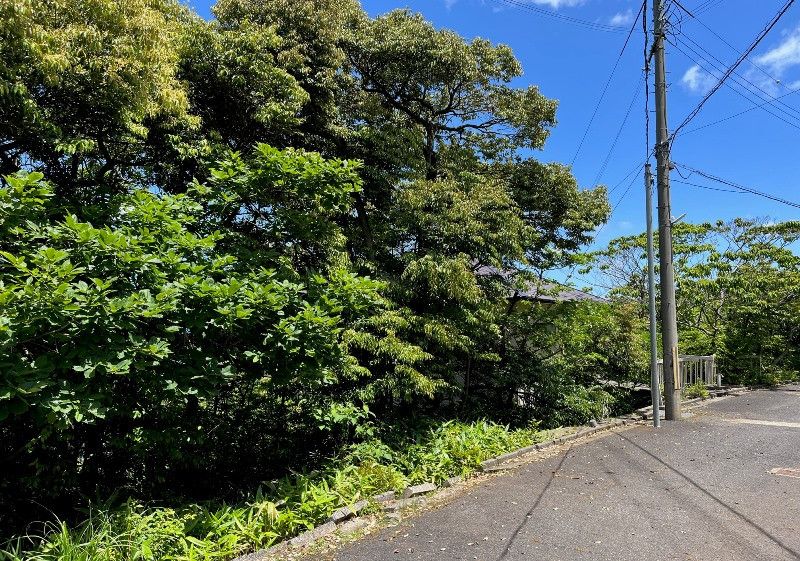 206 sqm Vacant Land for Sale in Ine Town, Kyoto - Thumbnail 2