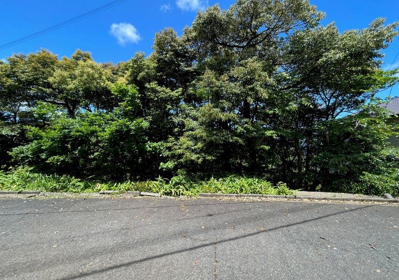 206 sqm Vacant Land for Sale in Ine Town, Kyoto - Thumbnail 4
